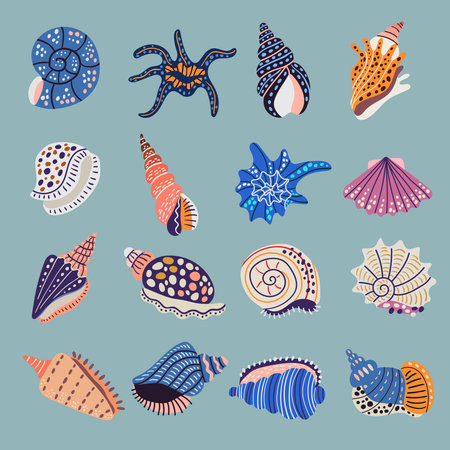 Seashell. Ornamental stylized illustrations of marine symbols doodle seashel recent vector collectionのイラスト素材