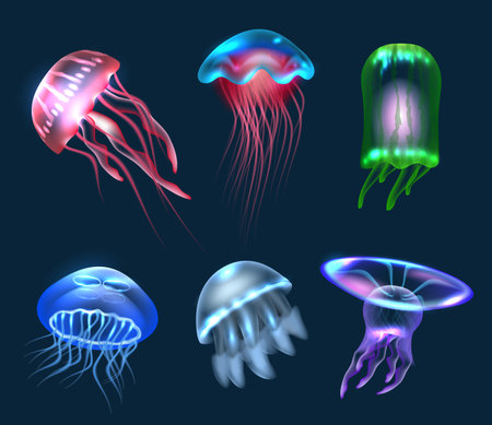 Fantasy jellyfish. Transparent underwater jellyfish collection decent vector fantasy animals realistic setのイラスト素材