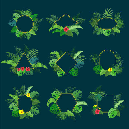 Frames from tropical leaves. Jungle stylised nature symbols decorative shapes of different forms recent vector templates for print design projectsのイラスト素材