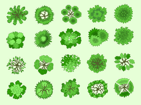 Tree top view. Different green plants map top view cartoon items recent vector trees collectionのイラスト素材