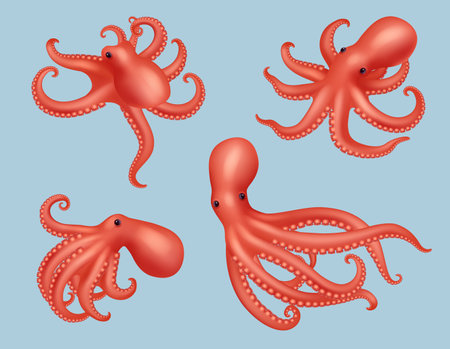 Octopus. Realistic marine creature animal squid aquatic decent vector 3d octopusのイラスト素材