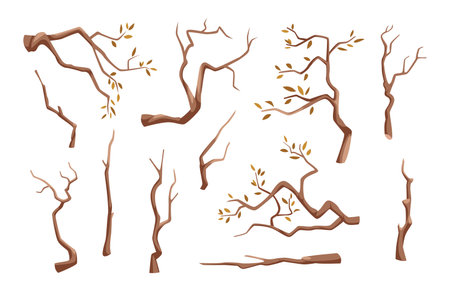Branches. Wooden tree branches in cartoon style exact vector illustration set isolatedのイラスト素材