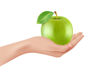 Hand holding apple. green healthy apple in woman hand. Vector realistic template isolated on whiteのイラスト素材