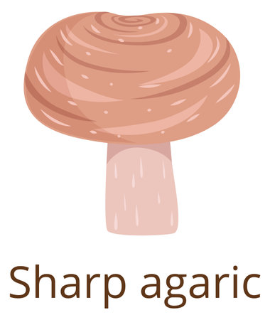 Sharp agaric mushroom color icon. Natural fungusのイラスト素材