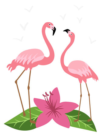 Flamingo pair. Pink tropical romantic summer birdのイラスト素材