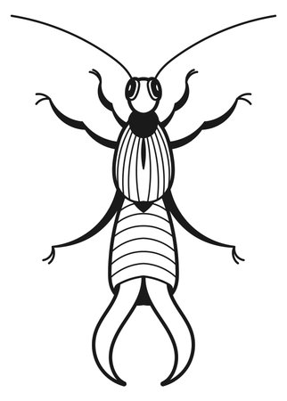Earwig drawing. Farm pest black line iconのイラスト素材
