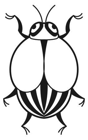 Colorado beetle. Potato pest. Farm damage insectのイラスト素材