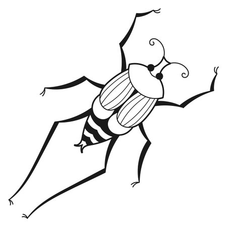 Beetle black line icon. Bug insect drawingのイラスト素材