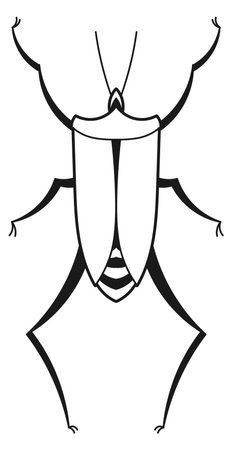 Stinkbug line icon. Black ink beetle drawingのイラスト素材