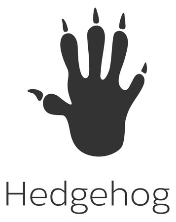 Hedgehog footprint. Wild animal trace. Black stampのイラスト素材