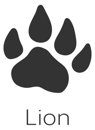 Lion footprint. African wild animal paw stampのイラスト素材