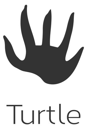 Turtle footprint icon. Exotic animal black logoのイラスト素材