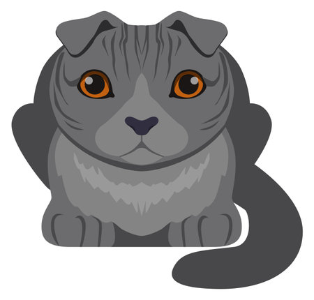 Brittish shorthair cat. Blue scottish pet iconのイラスト素材