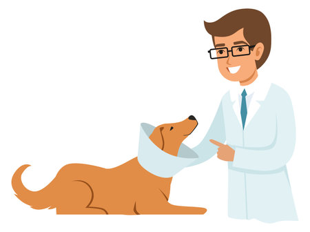Veterinarian treat dog. Animal medical examination. Cartoon doctorのイラスト素材