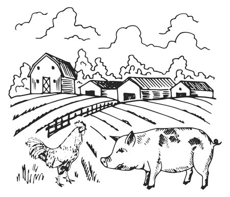 Hand drawn farm landscape. Countryside retro sketchのイラスト素材