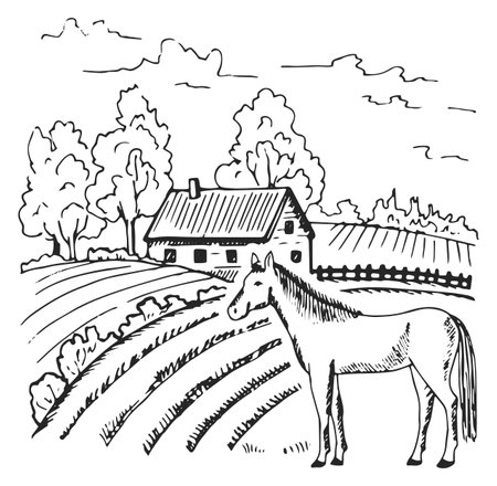 Farm field landscape. Retro hand drawn countrysideのイラスト素材