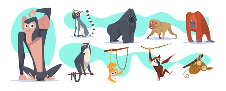 Cartoon monkey. Wild animals standing jumping and walking exact vector monkey charactersのイラスト素材