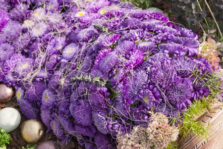 Bouquet of violet astersの写真素材