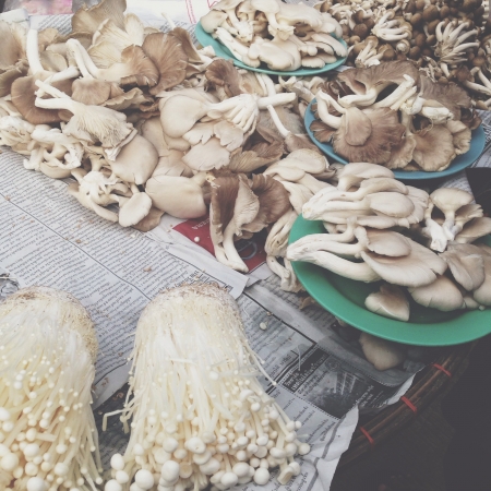 Mushroom in Thai marketの素材