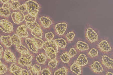 Human Virus, flu, view of a virus under a microscope, Viral disease outbreak. Infectious disease. 3d renderingの写真素材