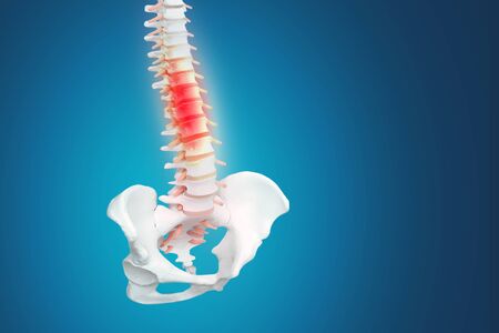 Realistic skeletal human spine and vertebral column or intervertebral discs on a dark background. Lower back pain. Vertebral column in glowing highlight as a medical health care concept.の写真素材