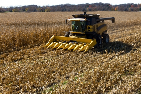 End of the summer, corn harvesting started.の写真素材