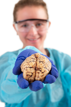 Female pathologist or medical technologist holding a brain in her hand extended towards the camera, isolated on whiteの写真素材