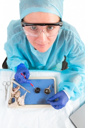 Female pathologist or medical technologist conducting tissue analysis in the laboratory on diseased or post mortem samples, high angle viewの写真素材