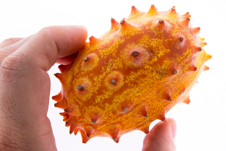 Closeup of the fingers of a man holding a ripe kiwano or horned melon, a cucurbita with an orange spiky rind with a mild tangy pulpy flesh usually eaten rawの写真素材