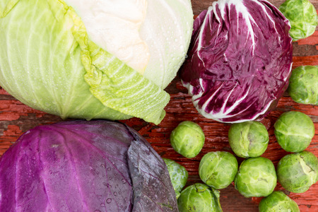 Close up overhead view of a selection of different fresh crucifies including green cabbage, red cabbage, radicchio and brussels sprouts for use as ingredients in healthy vegetarian cuisineの写真素材