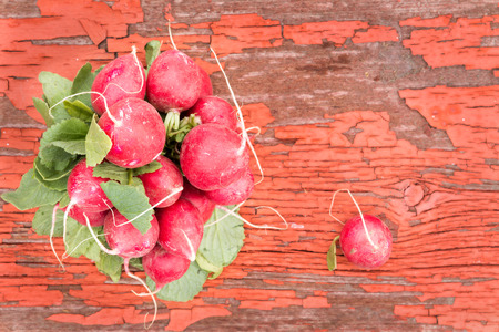 Bunch of fresh ripe crisp red radishes, favourite salad ingredients with their peppery taste, lying on an old rustic wooden board with cracked peeling red paint and copyspaceの写真素材