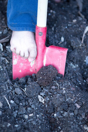 Bare foot of a little child digging with a red metal spade in the ground in the garden planting new plants in the spring, with copyspaceの写真素材