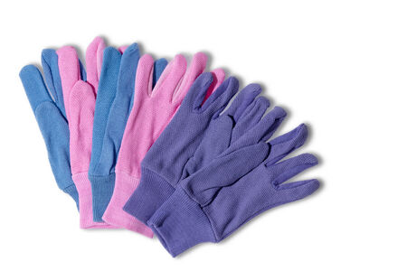 Ladies gardening gloves with a surface covering of small PVC dots for a non-slip griの写真素材