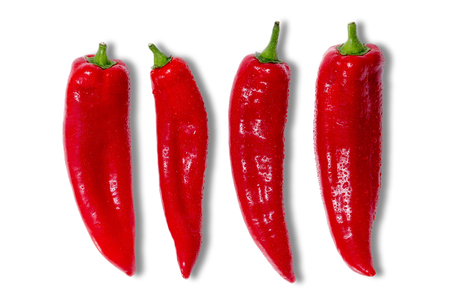 Four whole fresh red hot chilli peppers for a spicy cooking ingredient covered in tiny water droplets arranged in a line on a white backgroundの写真素材