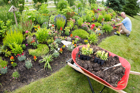 Man planting in the garden with gardening tools close by under the sunの写真素材