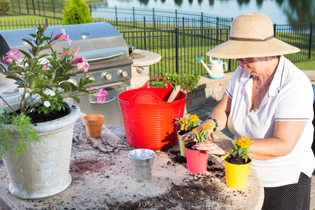 Active senior woman, wearing straw hat and summer casual clothes, while potting ornamental yellow small flowers, as a recreational activity, outdoors, in the garden, at the edge of a lakeの写真素材