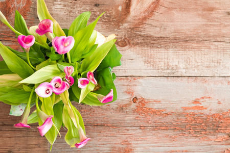 Aerial Shot of Attractive Fresh Calla Lilies on Top of a Wooden Table with Copy Space on the Right Side.の写真素材