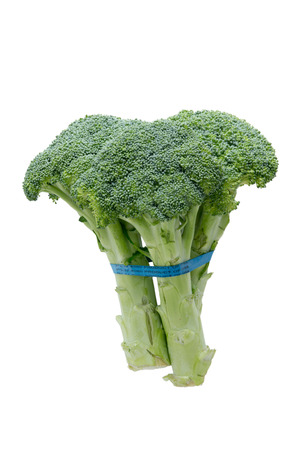 Side view of fresh broccoli showing the edible stalks and fresh green healthy unopened florets or buds tied in a bundle isolated on whiteの写真素材
