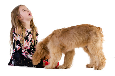 Side view full length studio shot of a cute girl of elementary age laughing while playing with her dog against white background for copy spaceの写真素材