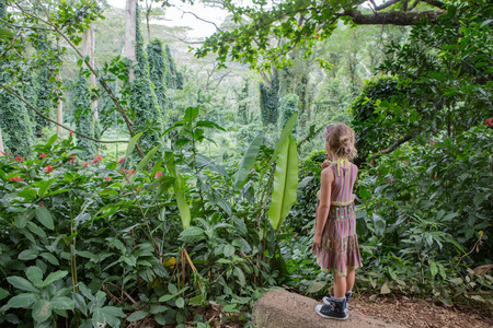 Little girl eating lollipop at Na Ala Hele Monoa Falls Trail, Oahu, Hawaii standing admiring the lush tropical green vegetation in paradiseの写真素材