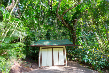 Small wooden shed in a lush tropical park or botanical garden nestling under tall green vegetation on Oahu, Hawaiiの写真素材