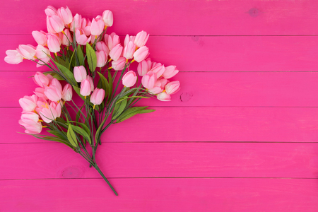 Bouquet of fresh pink flowers on a matching vibrant pink wood background with copy space for your greeting or wishes to a loved oneの写真素材