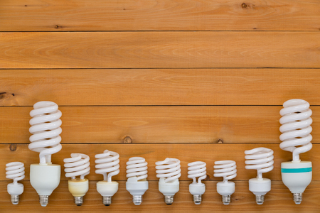 Border of assorted sized energy efficient spiral light bulbs in a row across the bottom of a natural...