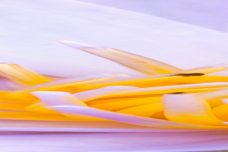 pattern backgroundの写真素材