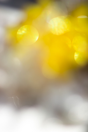 blur backgroundの写真素材