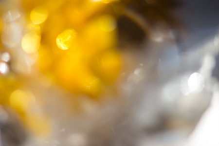 blur backgroundの写真素材
