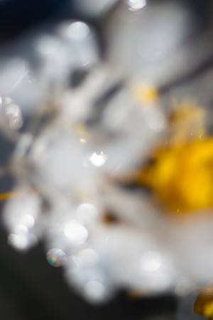 blur backgroundの写真素材