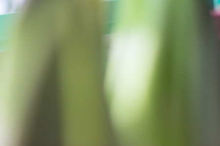 blur backgroundの写真素材