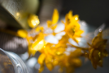 blur backgroundの写真素材