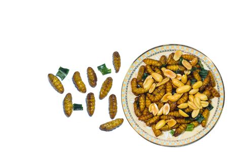 Silkworm pupae